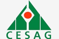 Centre Africain d'Etudes Supérieures en Gestion